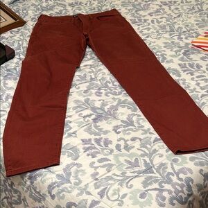 GAP Denim Rust Slim Pants
